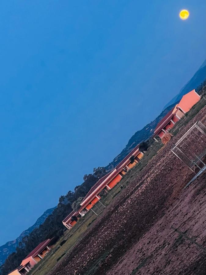 Tenute Venafiorita Loiri Porto San Paolo ภายนอก รูปภาพ
